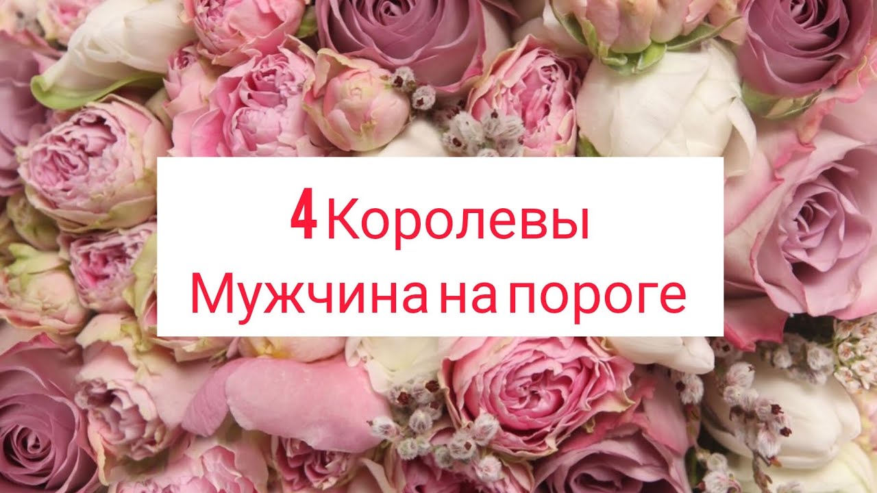 4 Королевы. Мужчина на пороге💖😳😊