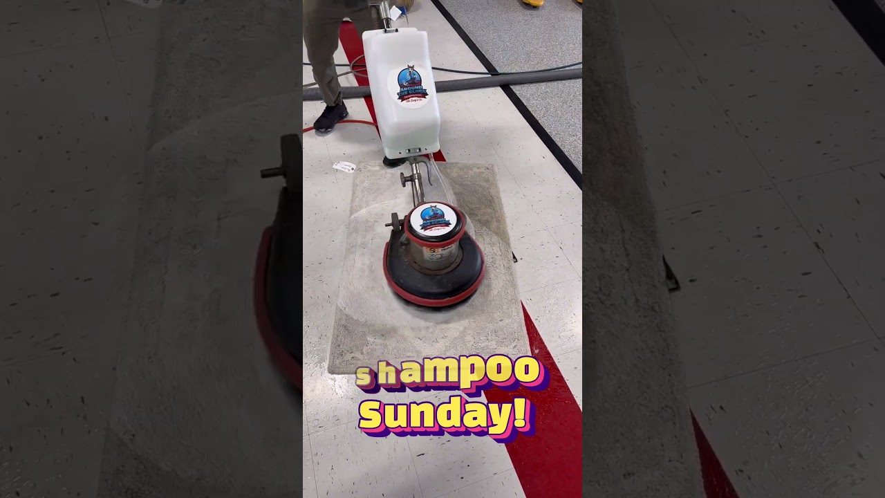 Shampoo Sunday 😎 #rugcleaningasmr