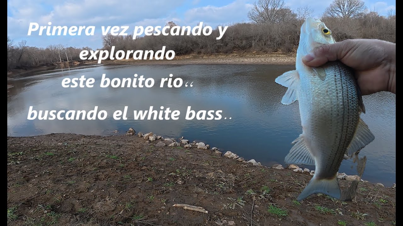Explorando bonito rio en busca de White Bass(percas blancas)..