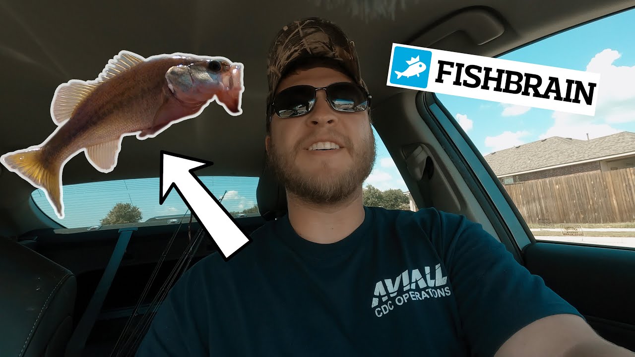 Using my PHONE to catch FISH (Fishbrain Challenge)