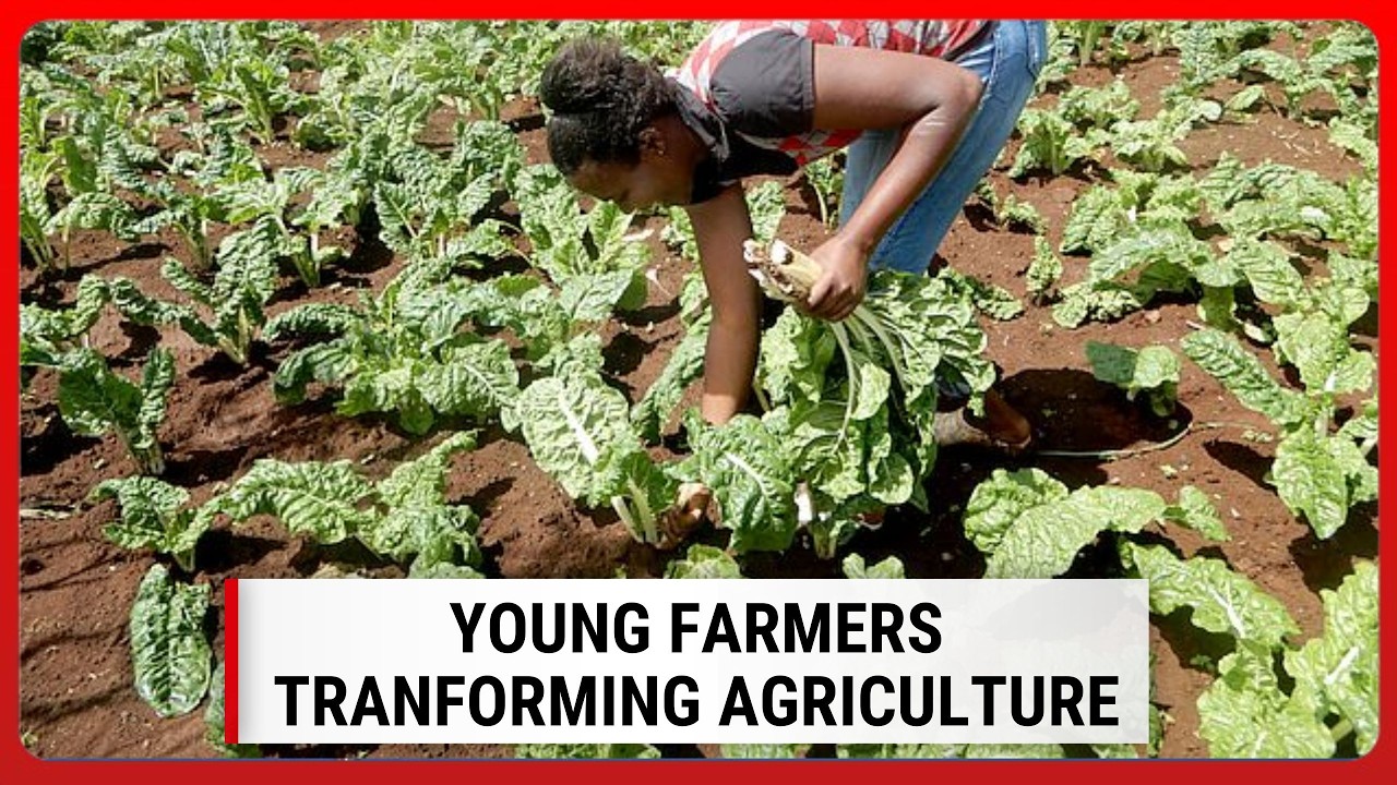 How young farmers in Murang'a are transforming agriculture technology