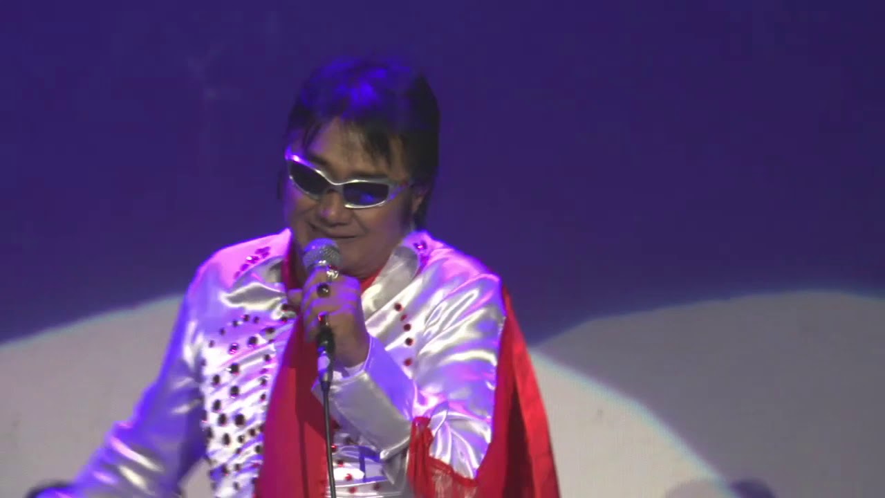 All Shook Up by Elvis Presley