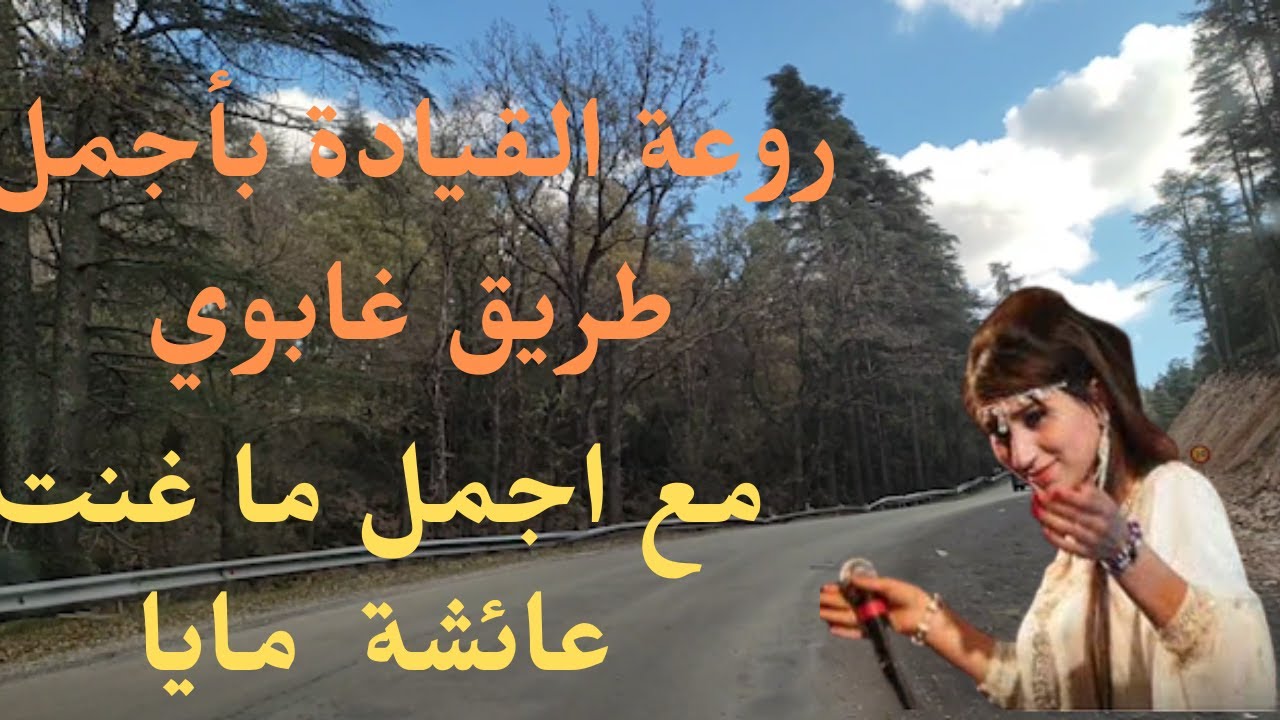 اجمل طريق غابوي مع اجمل اغنية عائشة مايا forest road aicha maya #الغابة #رحلة