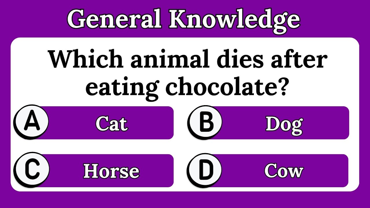 Quiz Game General Knowledge | Quiz For Adults | Quiz Competition