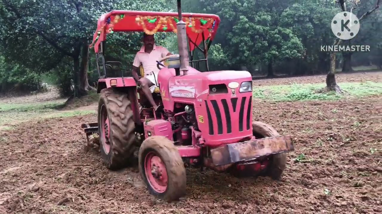 Mahindra tractor B275DI working in field with 9 tines cultivater In own village for village farmers 