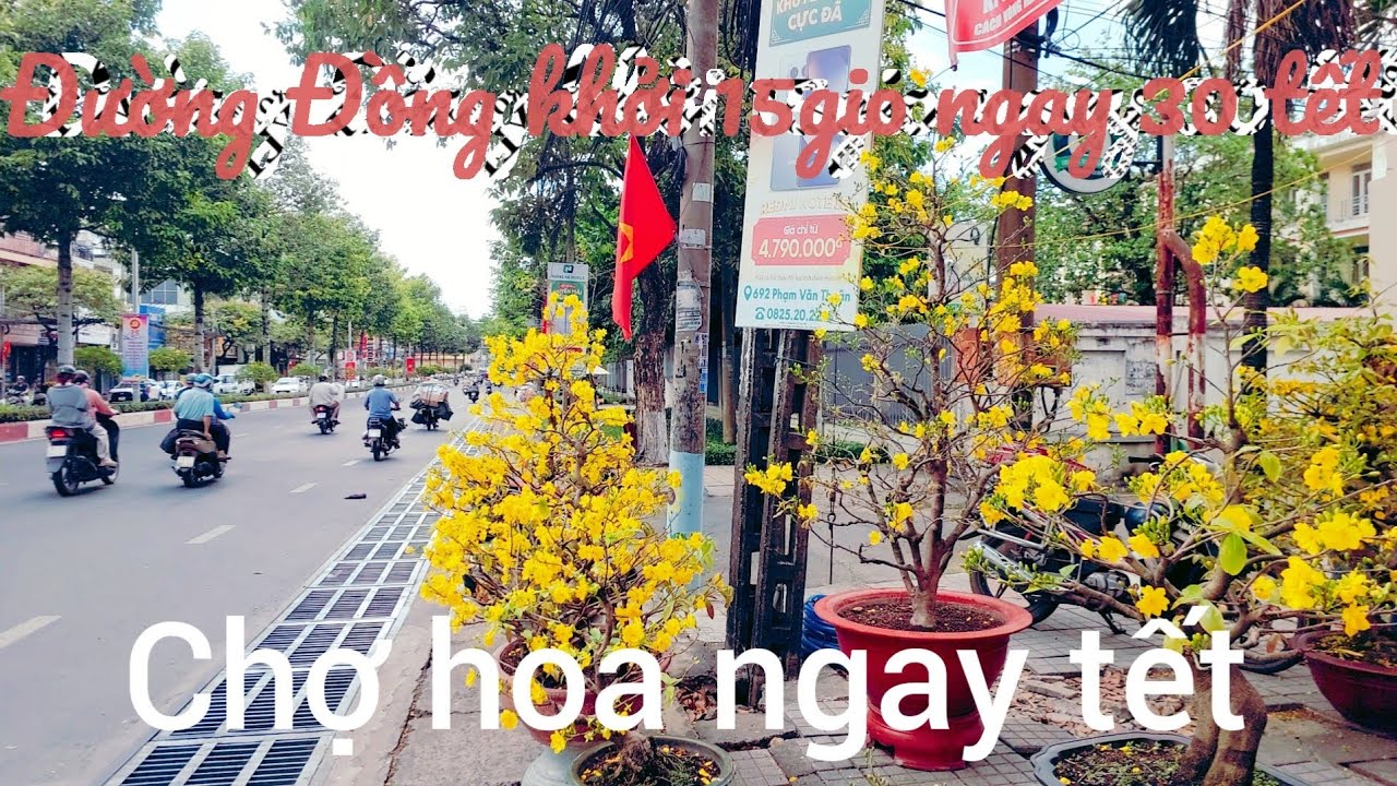 15 giờ ngày 30 tet Binh Ngọ 2026 đường hoa trên  đường  đong khỏi 