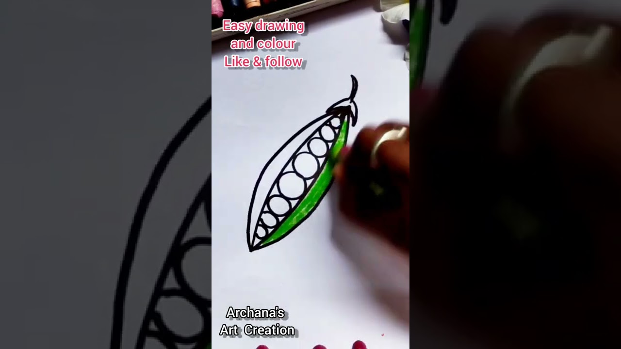 How to draw peas/ peas drawing / easy drawing/ vegetables drawing #shorts #shortvideo #youtubeshort