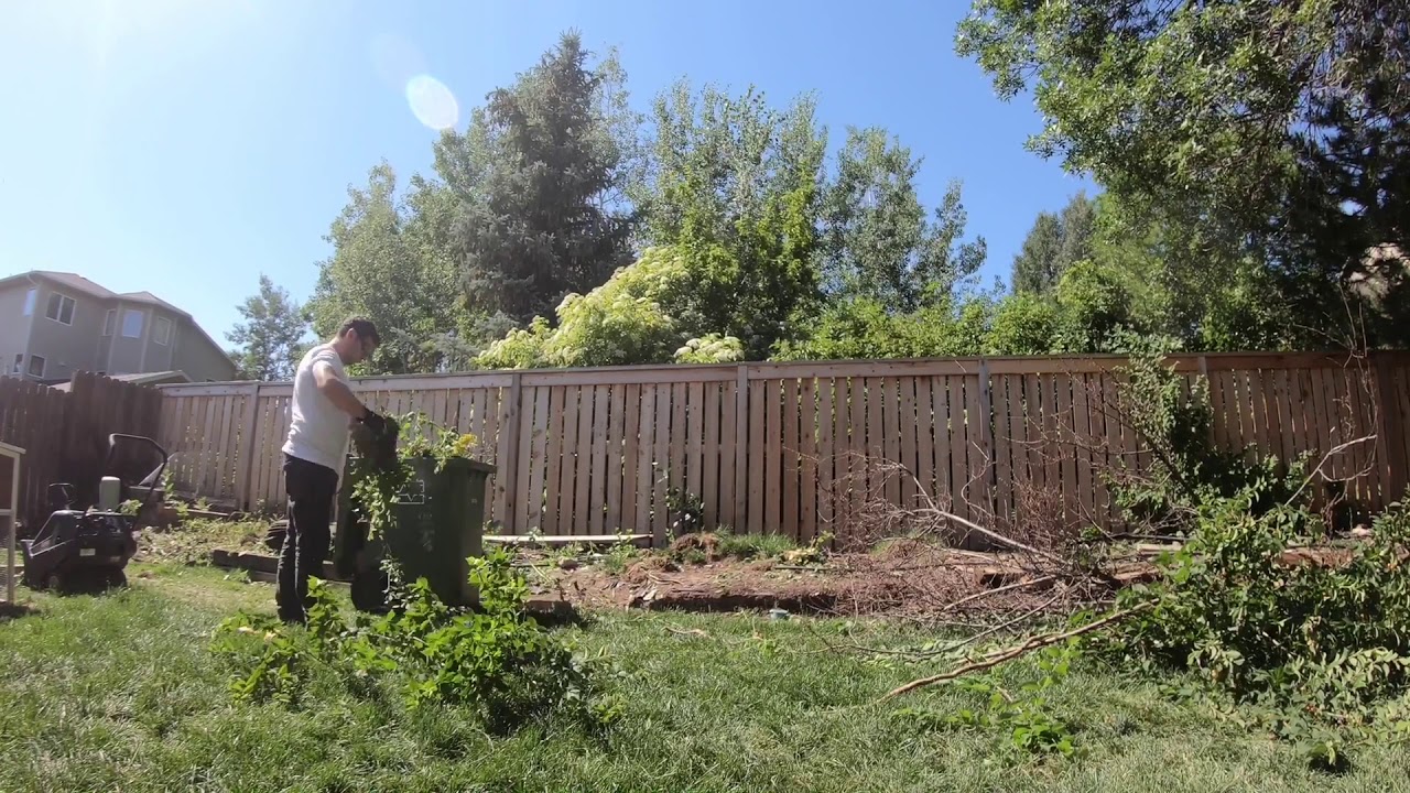 Backyard Cleanup Timelapse Test