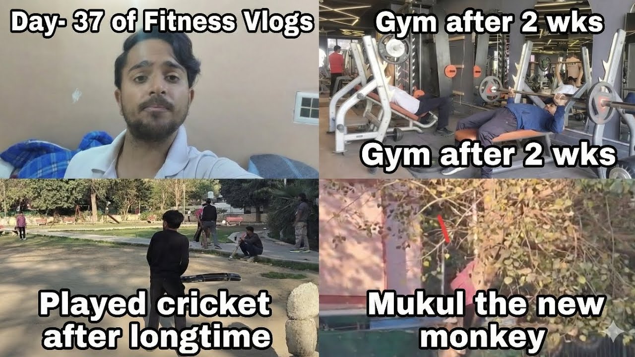 Day - 37 of Fitness Vlogs & Played Cricket after longtime..#viral #minivlog #vlog #dailyvlog 