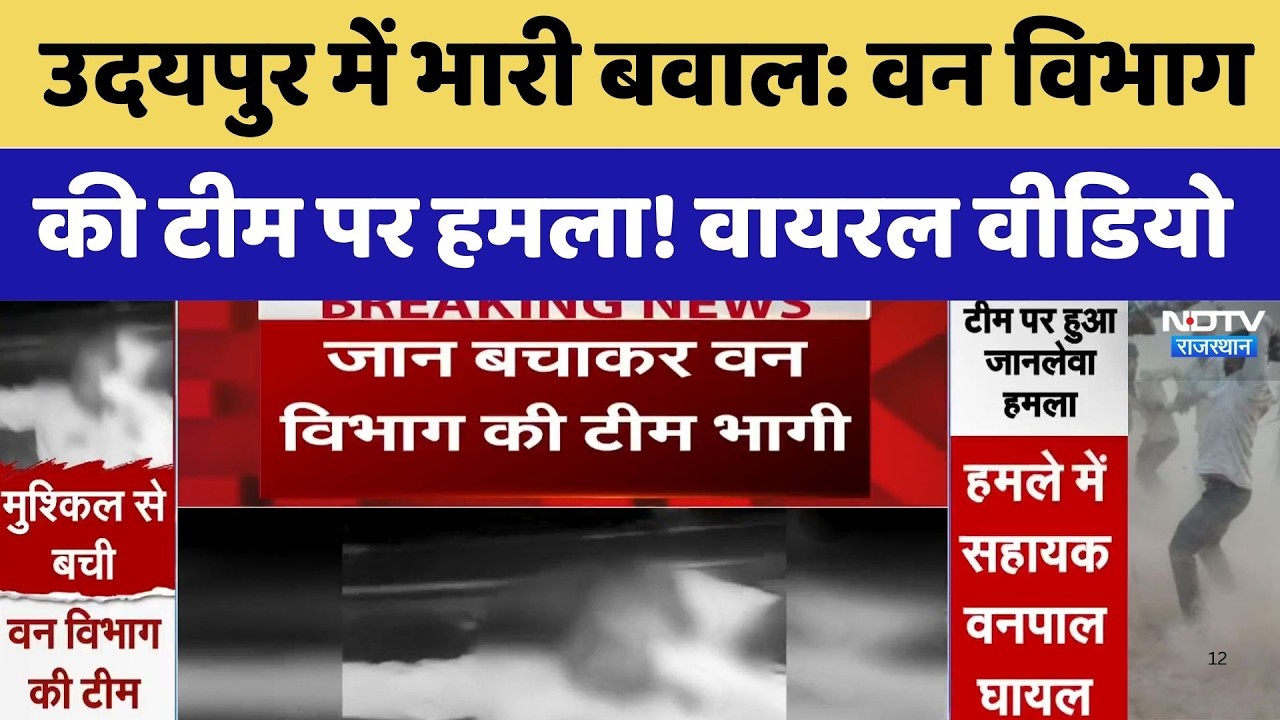 Udaipur Attack: आरोपी को पकड़ने गई Forest Department की टीम पर हुआ जानलेवा हमला | Crime। Viral Video