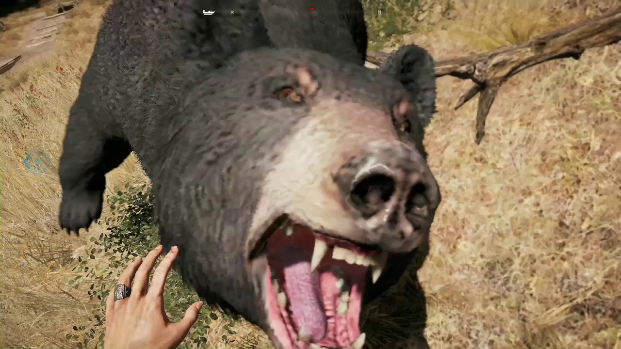 FAR CRY 5 ANIMAL'S ATTACK COMPLICATION