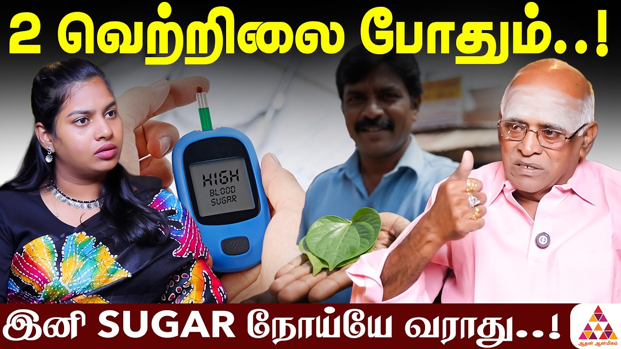 சர்கரை நோய்க்கு மருந்து மாத்திரையே தேவையே இல்லை.! Tenkasi Swamigal #DiabetesAwareness #naturalremedy