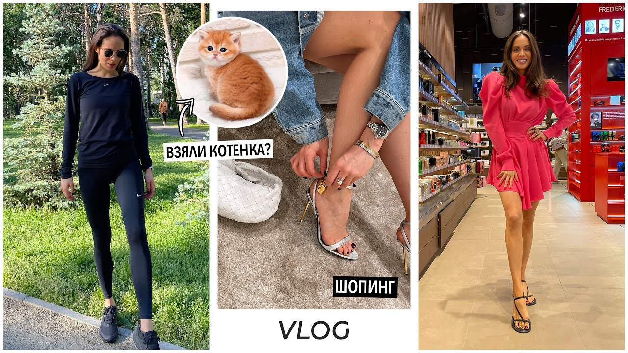 ВЛОГ / Неделя со мной. Взяли котенка. Проблемы с ремонтом. Пробуем 