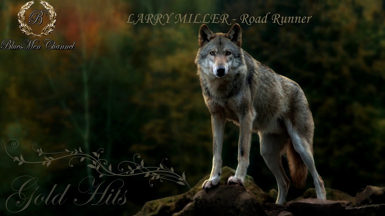 LARRY MILLER - Road Runner - (BluesMen Channel 