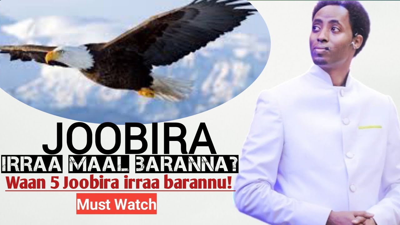 JOOBIRA irraa maal baranna? - Life Lesson from Eagle In Afaan Oromo - MUST WATCH!!!