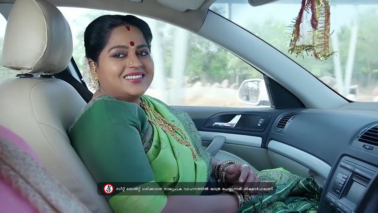 Ashwathi Nakshatram - Full Ep - 171 - Avani, Srikar, Vedavati - Zee Keralam