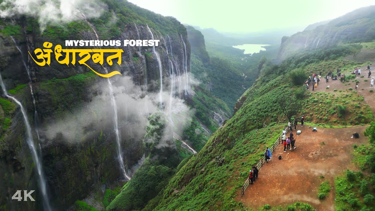Andharban Jungle | अगणिक नैसर्गिक रहस्यांनी भरलेलं अंधारबन ट्रेक | Dark Dense Forest Trek