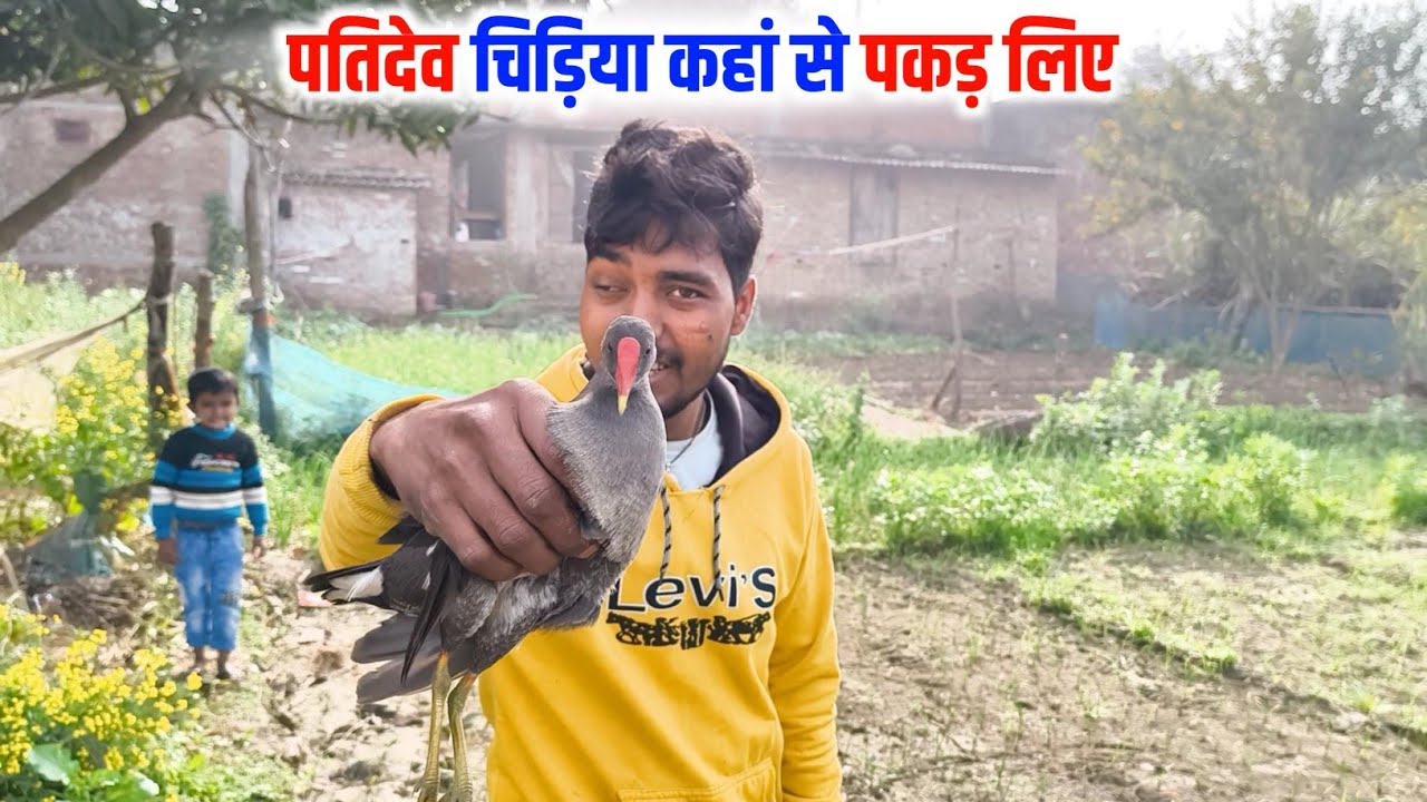 पतिदेव चिड़िया कहां से पकड़ लिए?