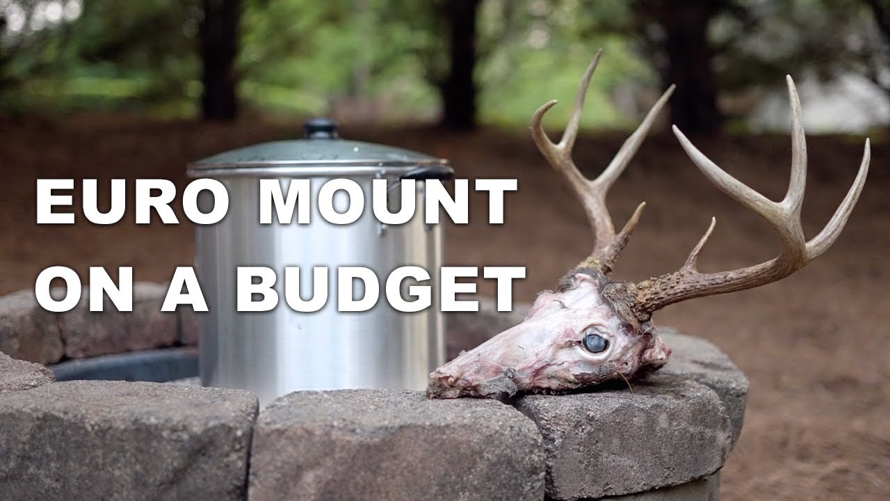 How To EURO MOUNT BUCKS ON A BUDGET! - Part 1