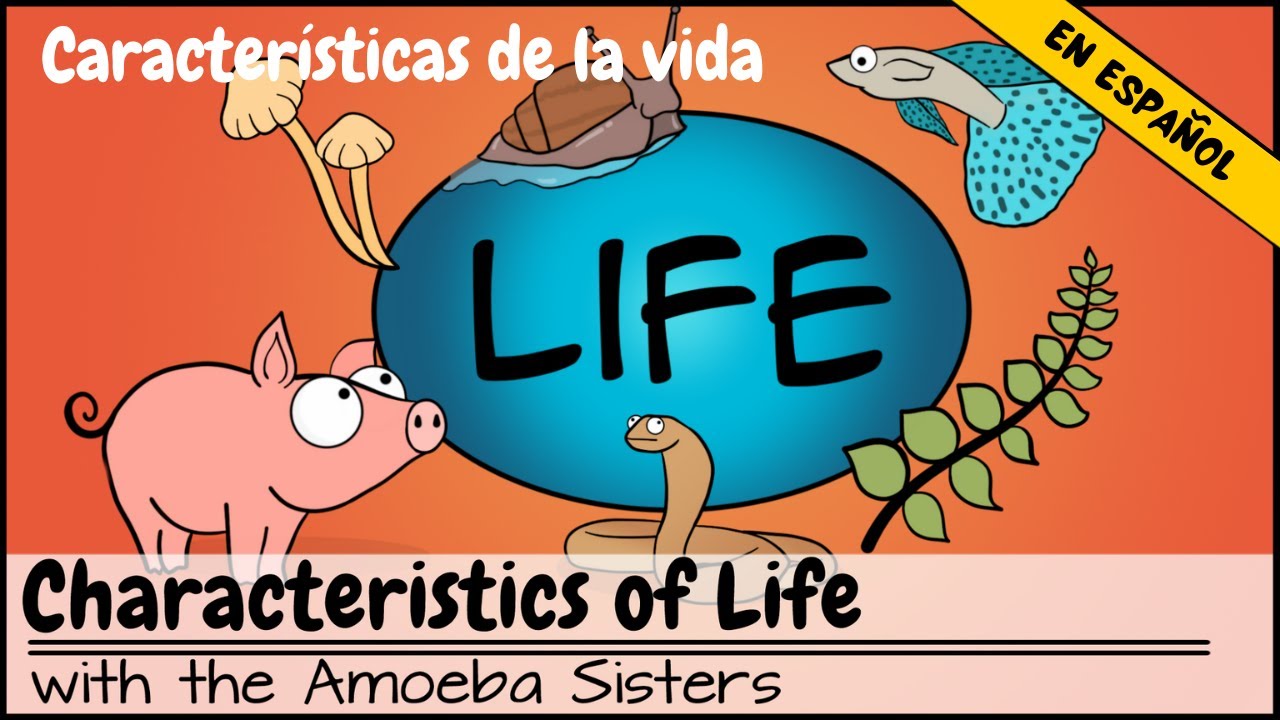 Caracter&iacute;sticas de la vida