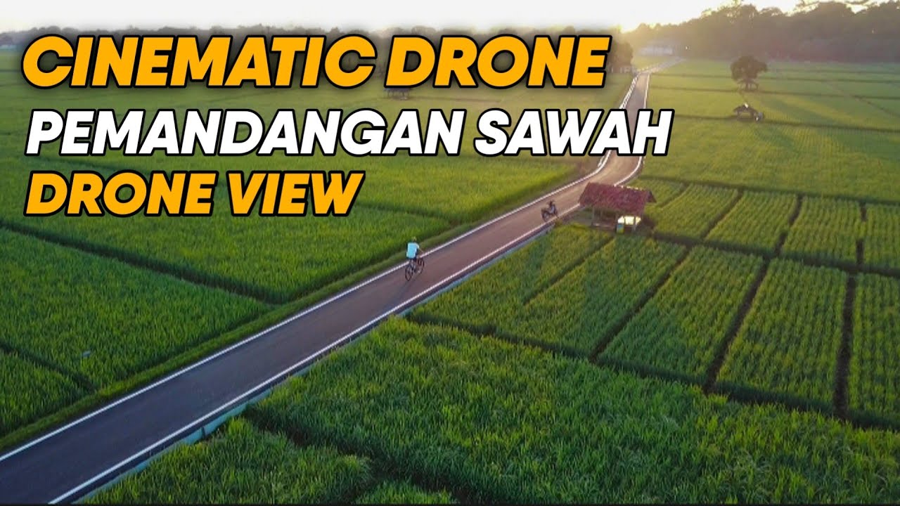 DJI MINI 2 SE CINEMATIC SAWAH DI PAGI HARI