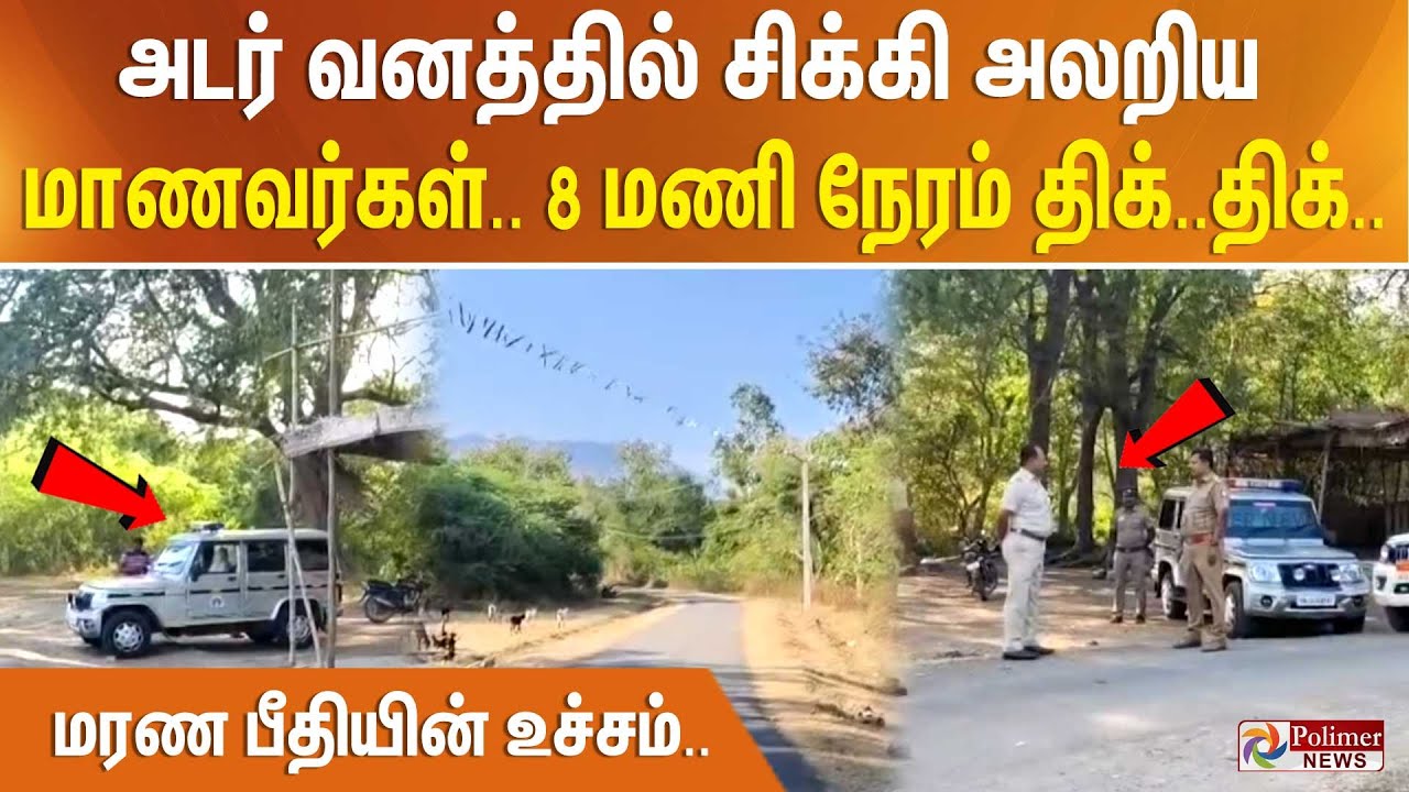 அடர் வனத்தில் சிக்கி அலறிய மாணவர்கள்..  8 மணி நேரம் திக்.. திக்.. மரண பீதியின் உச்சம்..