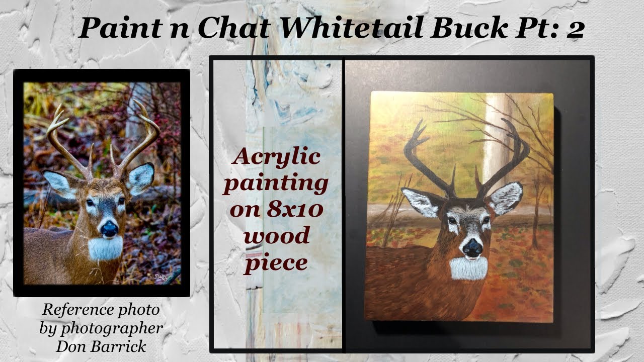 Paint n Chat: Whitetail Buck: Pt 2