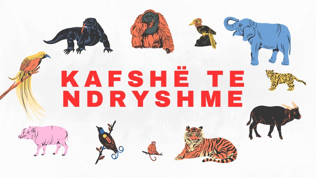 Kafsh&euml; te ndryshme | Capacula K&euml;ng&euml; p&euml;r f&euml;mij&euml;