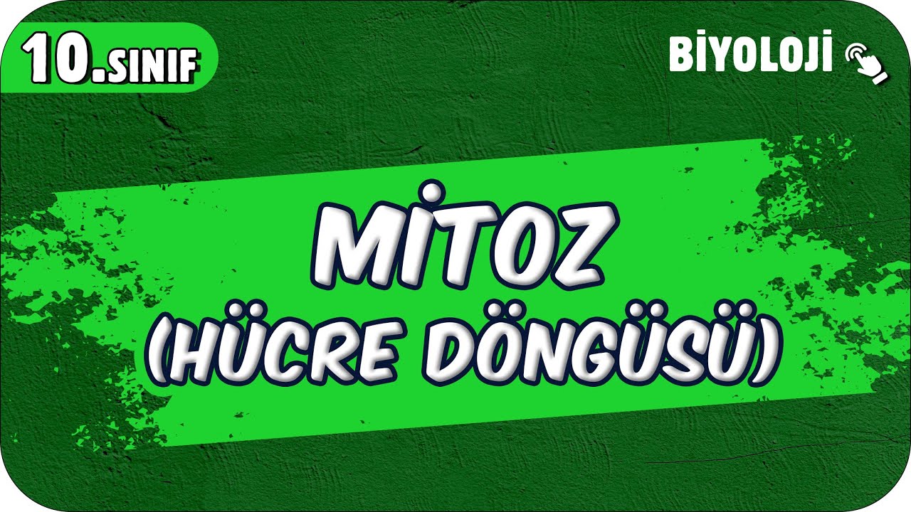 Mitoz (Hücre Döngüsü) | 10.Sınıf Biyoloji #2025