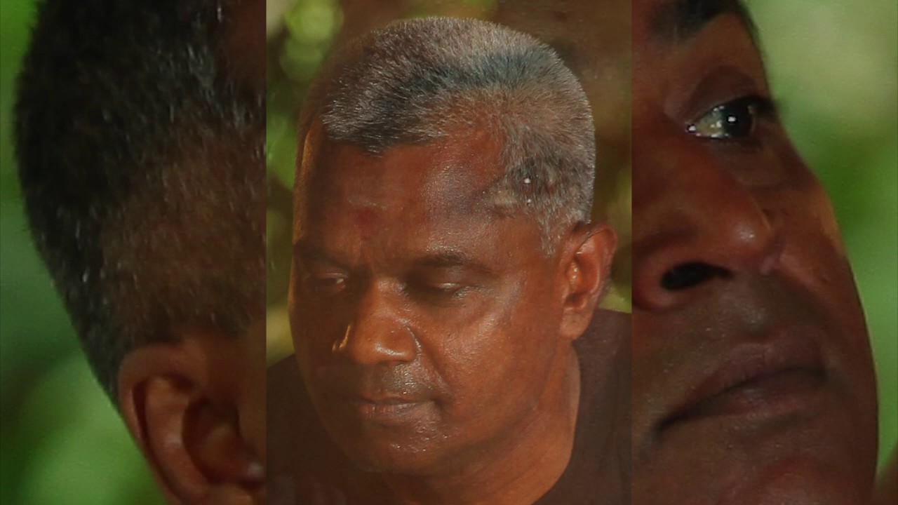Les visages de Mithuna