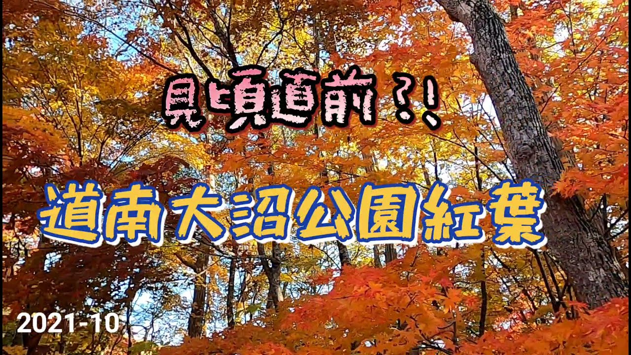 🍁紅葉道南函館大沼公園