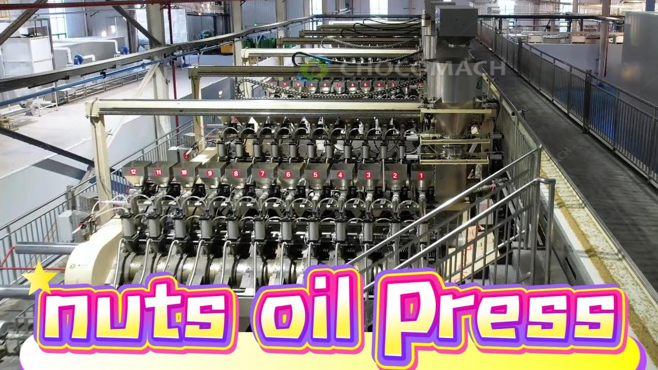 nuts  | walnuts oil press | pressed granular oil-containing nuts or seeds and plant protein powder