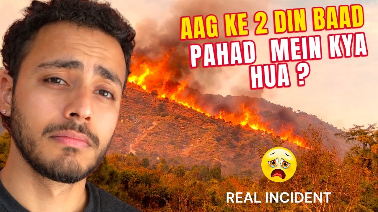 Aag ke 2 Din Baad Pahad Ka Haal 💔 | Real Incident