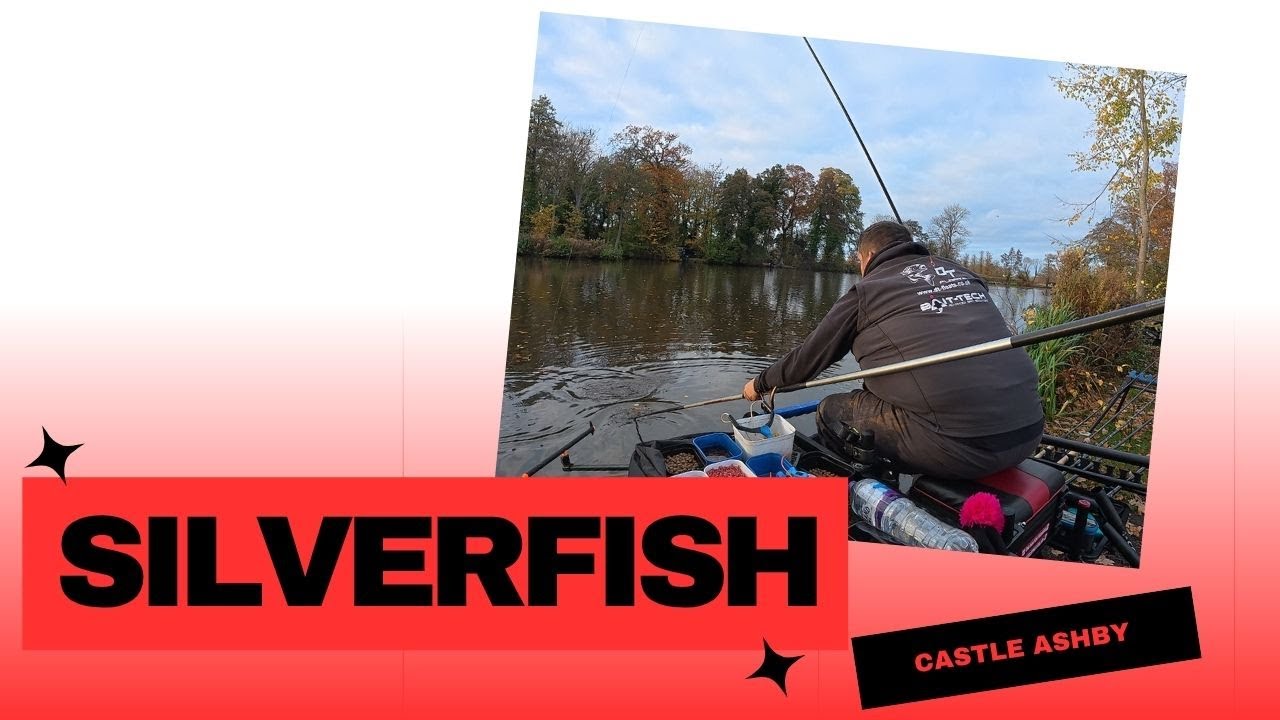 Квалификация Angling Trust по ловле серебрянки! Замок Эшби - Шотландия, место 11.