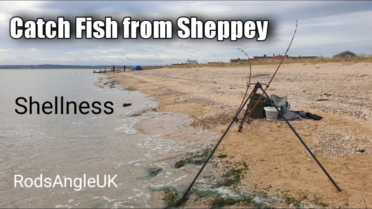 Catch Fish from Sheppey: SHELLNESS