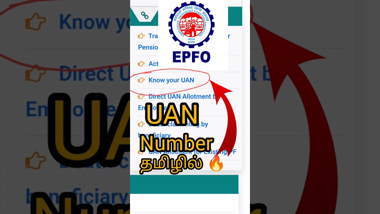 How to Find EPFO UAN Number | UAN எண்ணை எப்படி கண்டுபிடிப்பது?#EPFO #UANNumber #FindUAN #EPFIndia