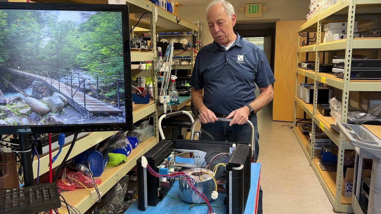 Why are many amplifiers empty inside?