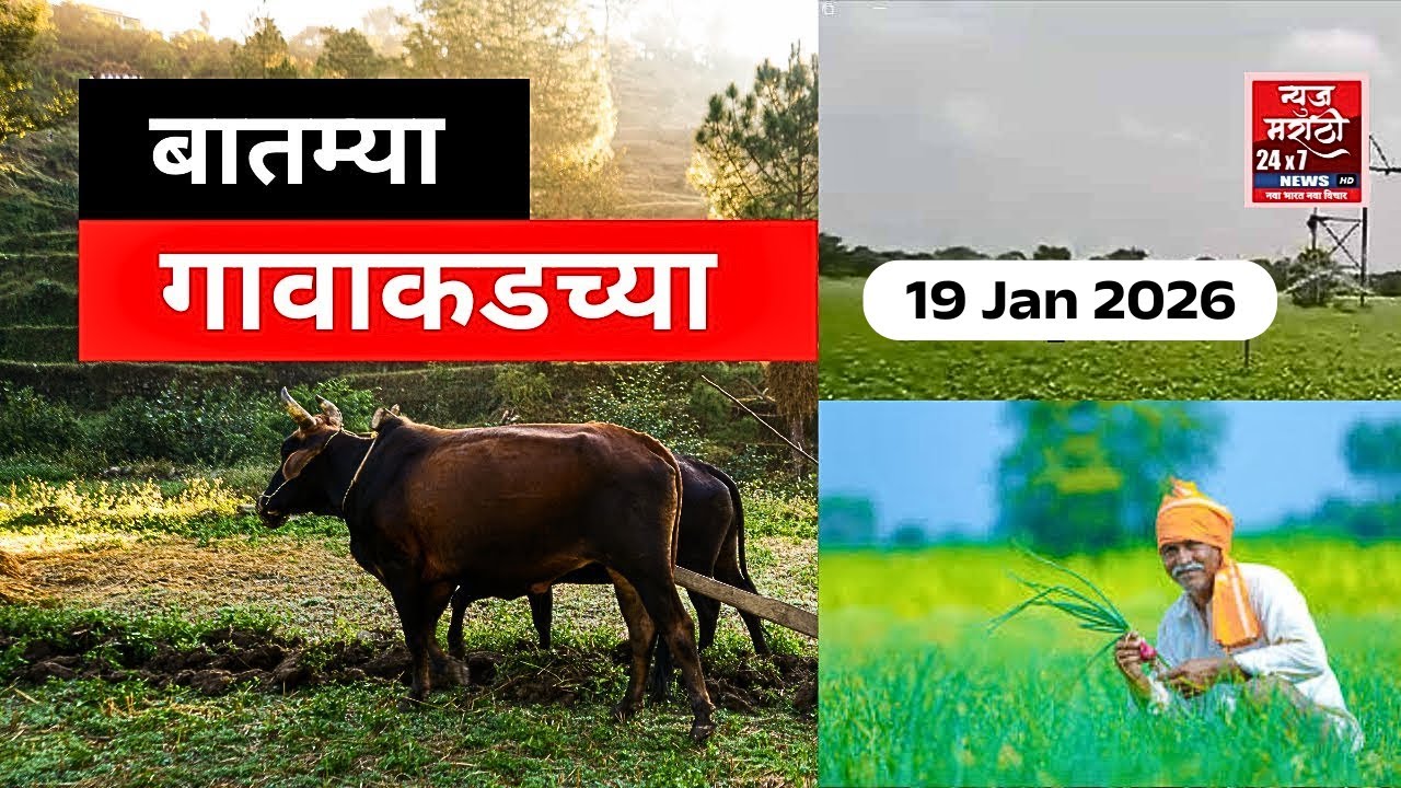 बातम्या गावाकडच्या || News Marathi 24x7