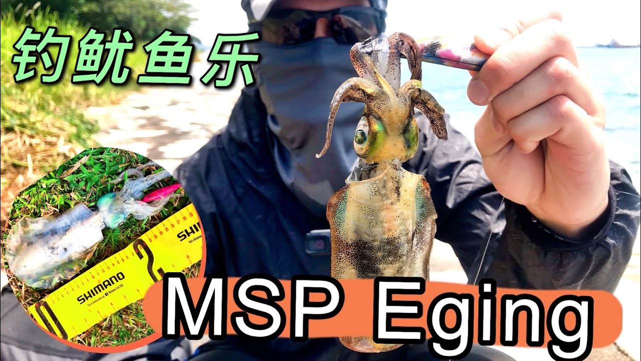 Marina South Pier Shore Eging | How to Eging for Squid | 滨海南码头钓鱿鱼乐