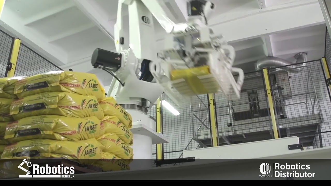 Comau Robotics Station for Bag Palletizing
