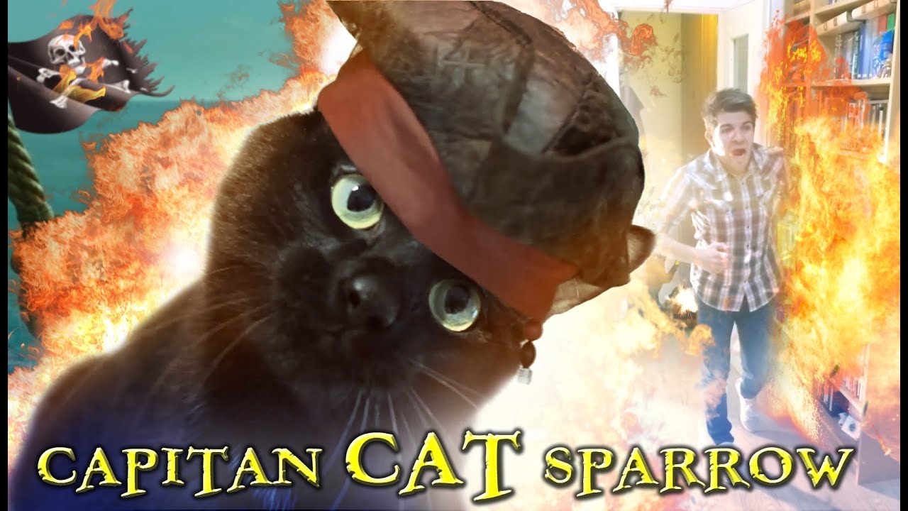 Capitano CatSparrow