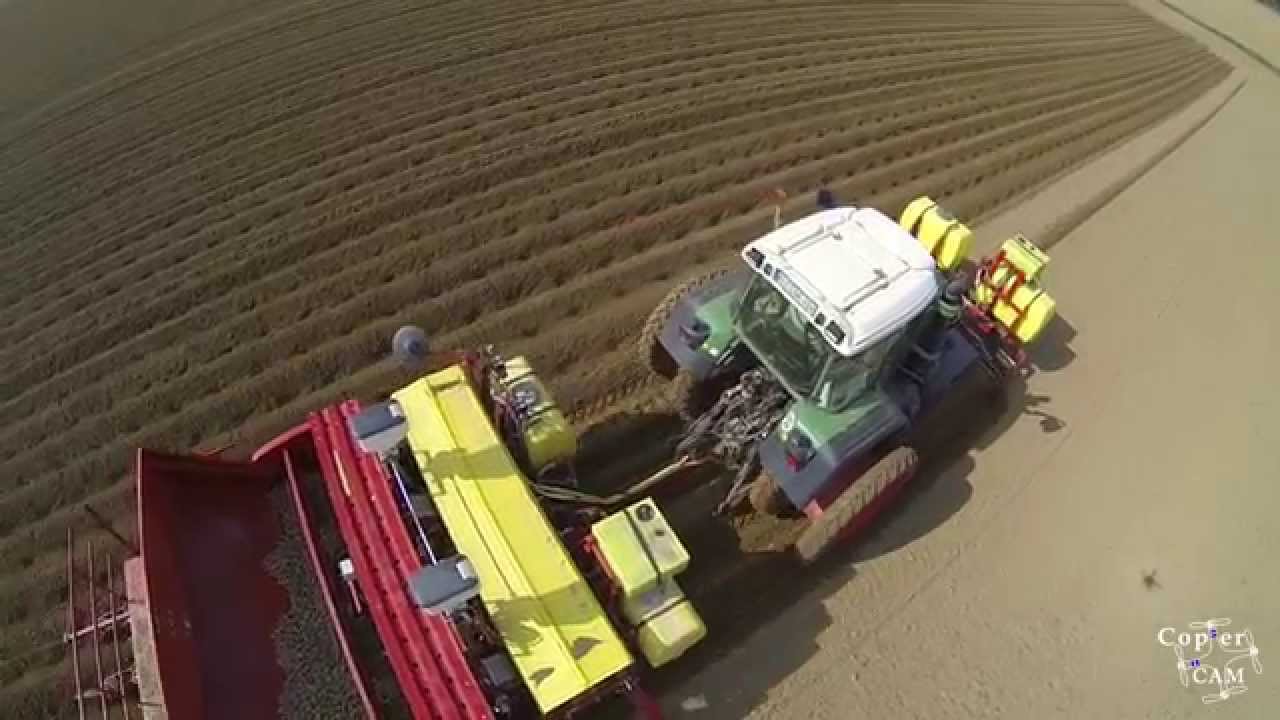 Kartoffeln pflanzen 2014 HD