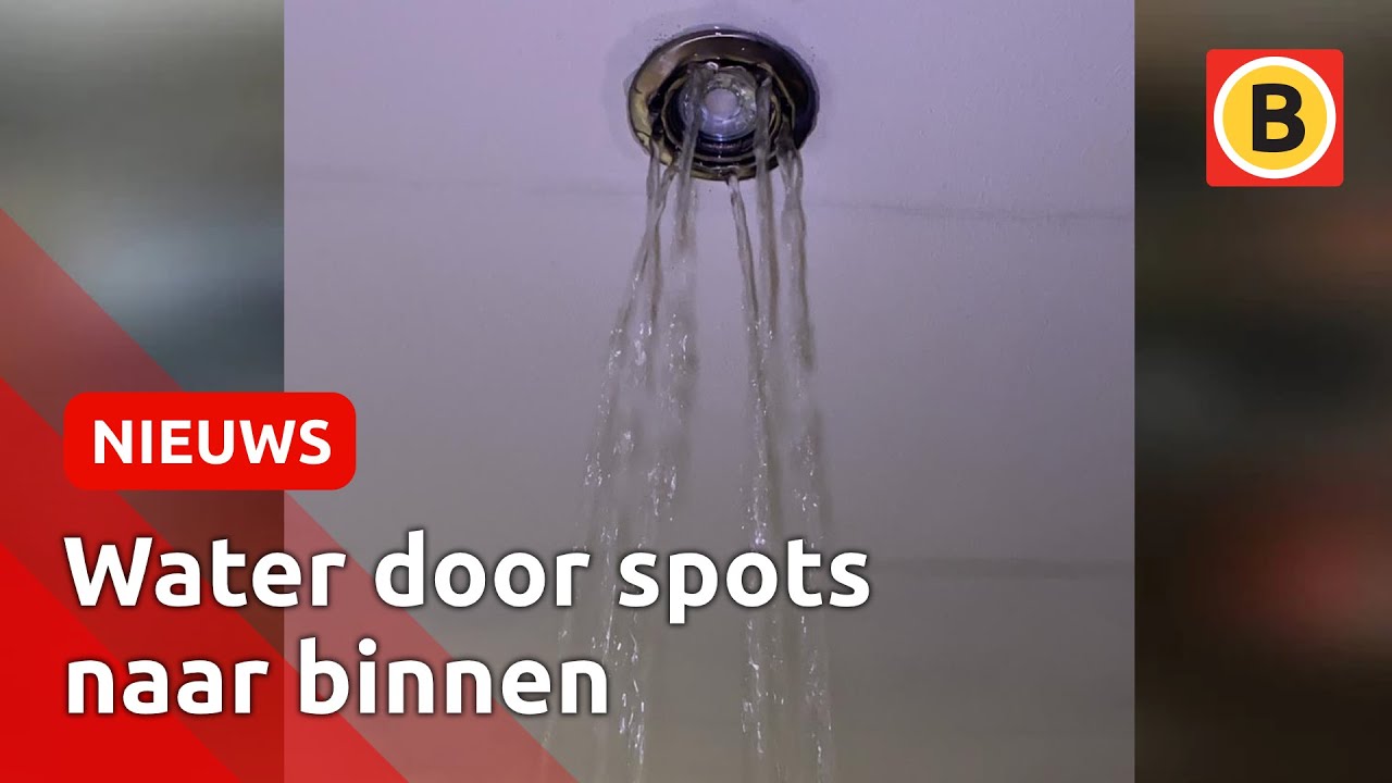 Noodweer zorgt wéér voor veel ellende | Omroep Brabant