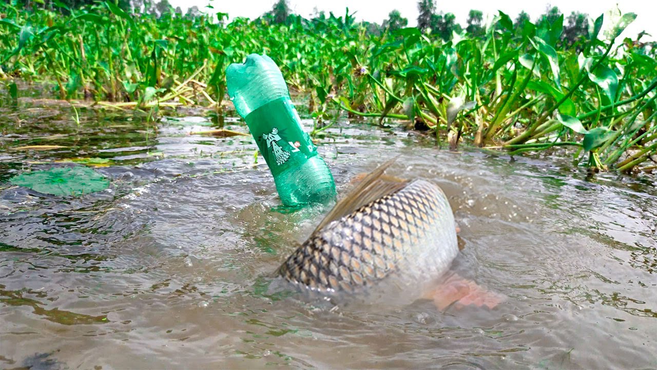 Unique Fish Trap | Traditional Hook Fishing With Plastic Bottle | Fishing With Beautiful Natural