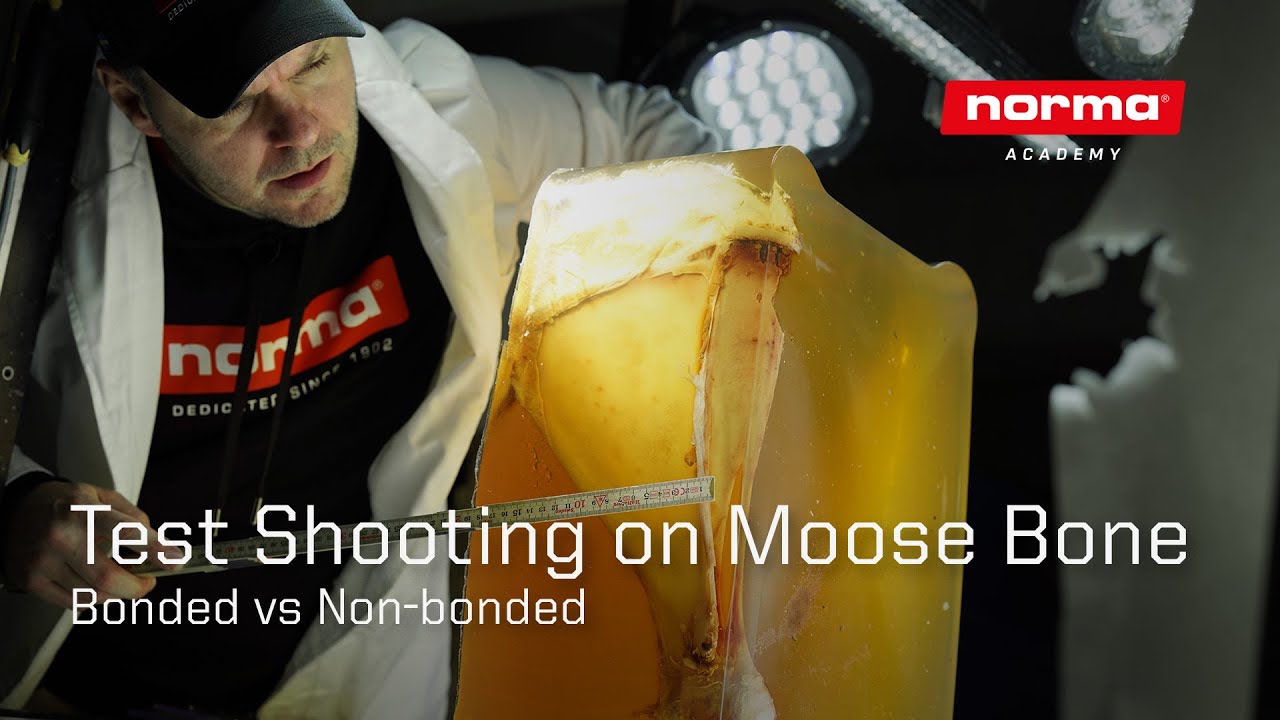 Test Shooting on Moose Bone - Bonded vs Non-bonded Bullet
