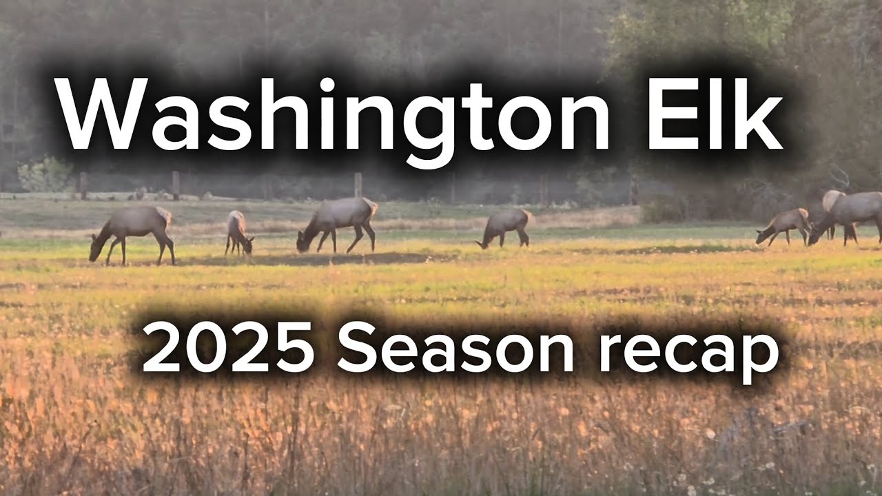 2025 Washington elk hunting season recap 