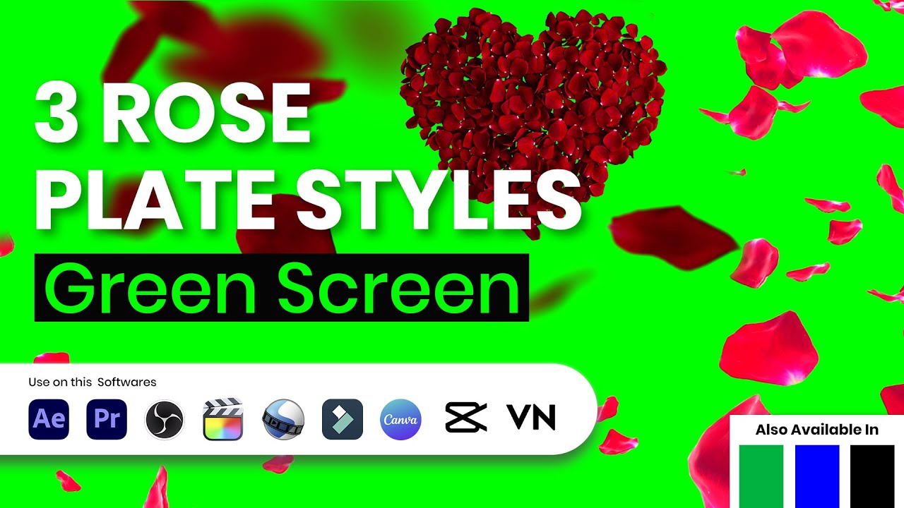 Rose Plate Green Screen (3 Styles) | Aesthetic Flower Overlay