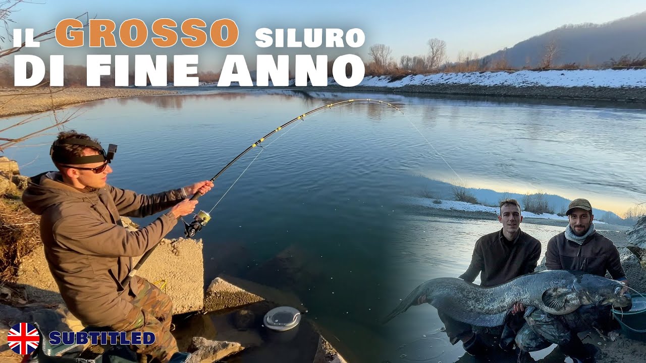 IL GROSSO SILURO di fine anno (mangiata a BOA libera in diretta!)