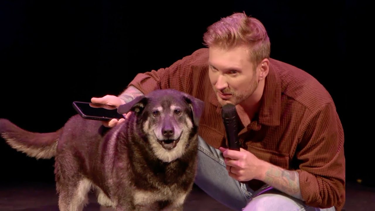 My Dog Snuck On Stage During My Show