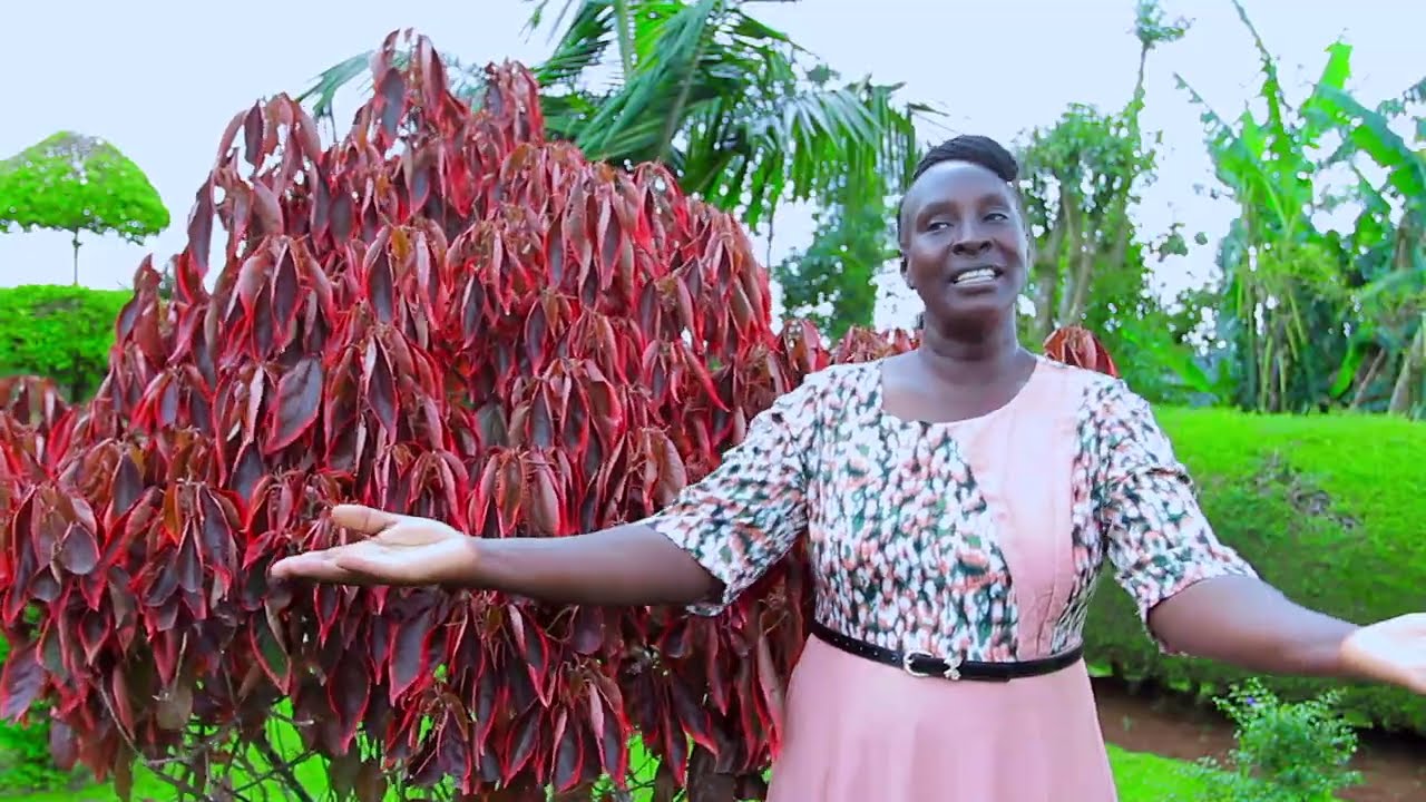 IMUCHE JEISO - AGNES KOROS